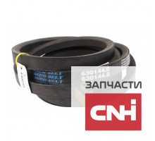 Приводной ремень D163 , 630144.0 Agrobelt